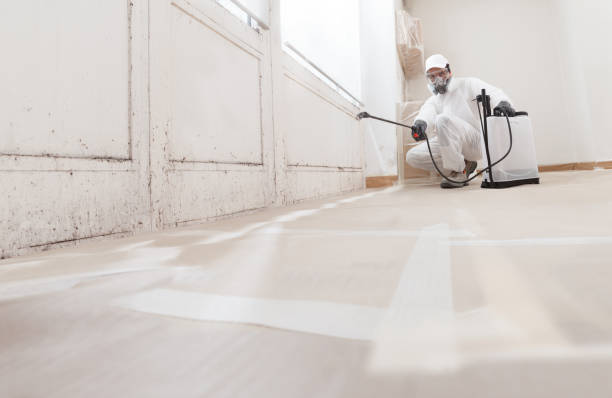 24/7 Emergency Crawl Space Mold Remediation experts in Millington, MI